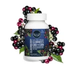 Wyld Elderberry Gummies 40pc